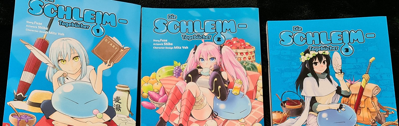Die Schleim Tagebücher