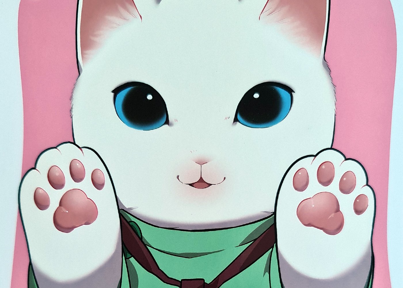 Cat Massage Therapy