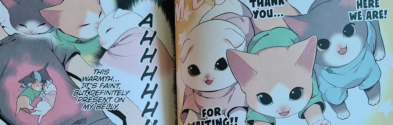 Cat Massage Therapy